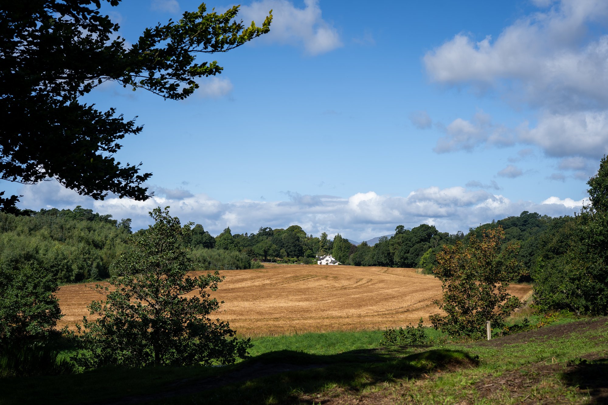 A standalone house surrounded by fields on a sunny day