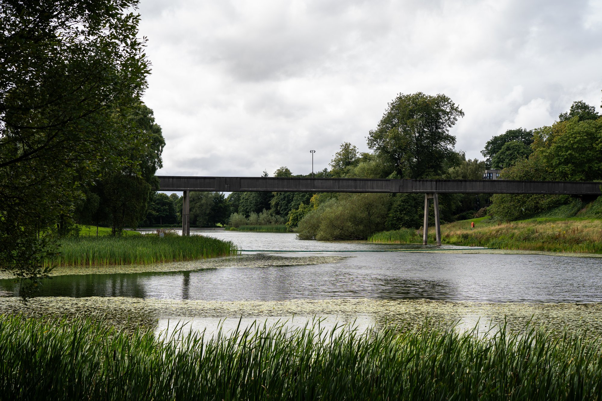 Airthrey Loch at Stirling University