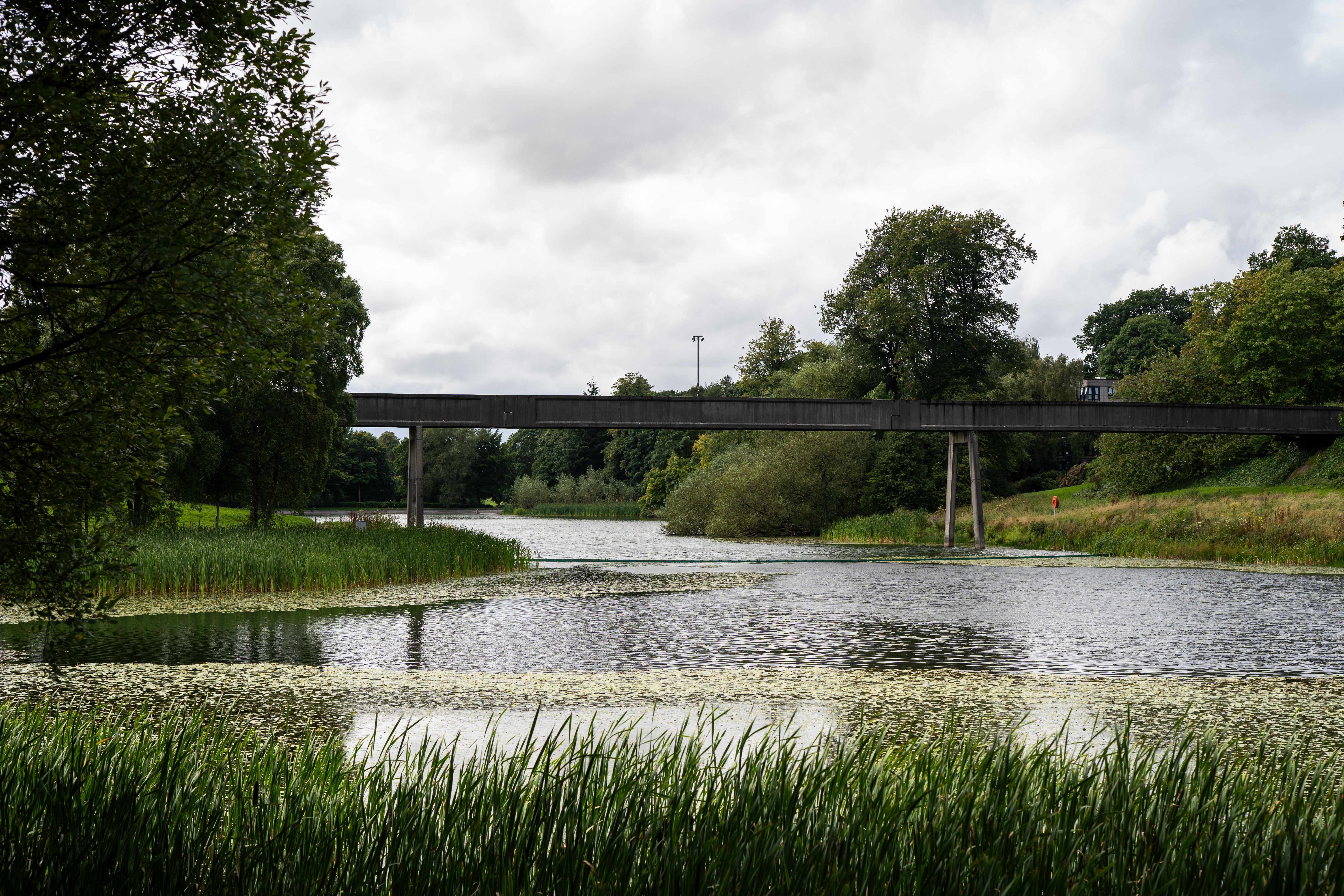 Airthrey loch at the University of Stirling